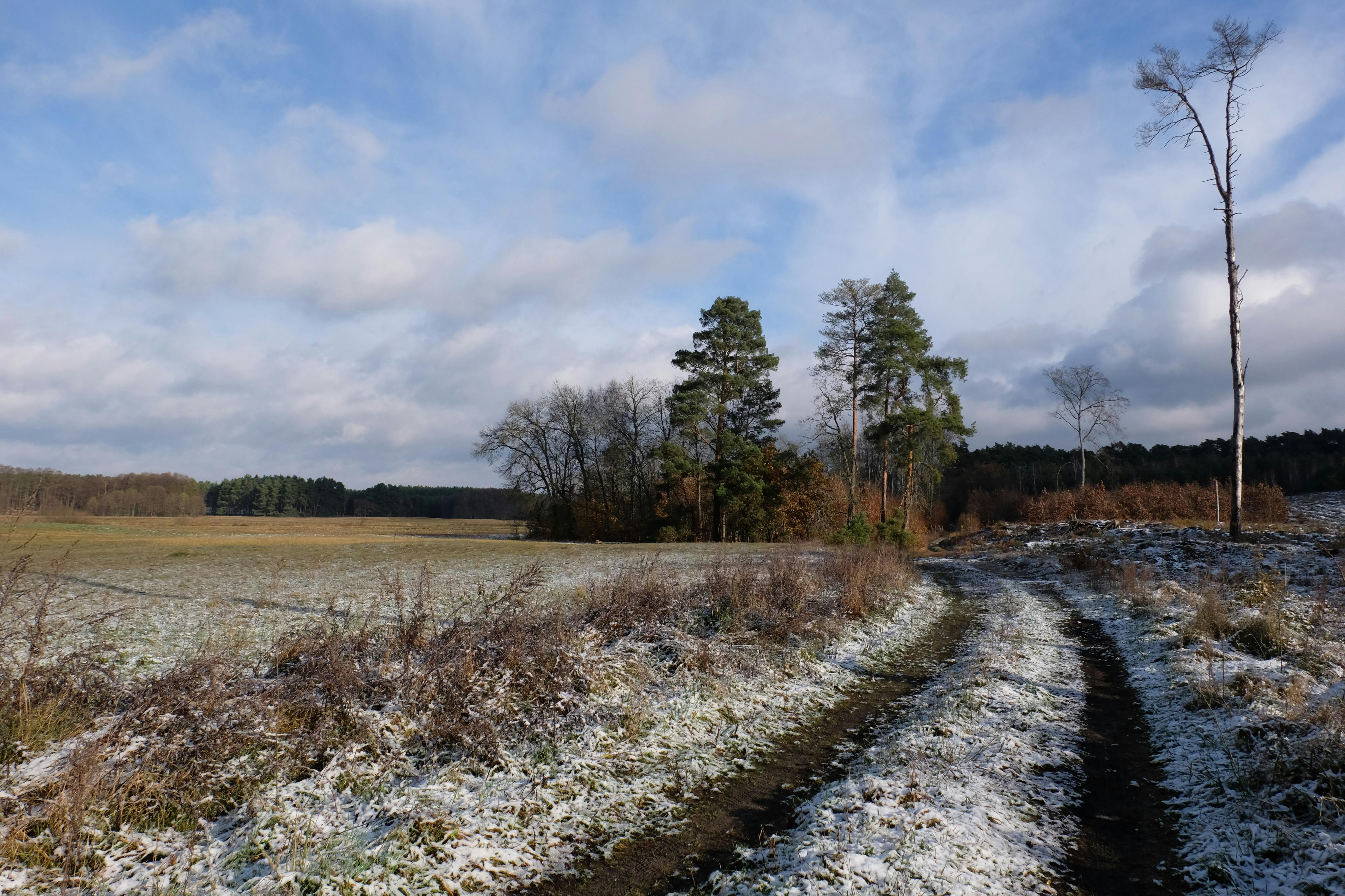 Awakening: FInding Joy in the Winter-to-Spring Transition